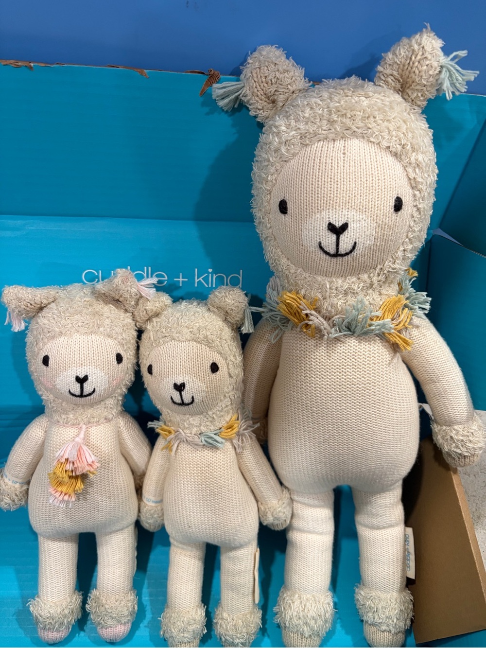 Llama family, little and regular